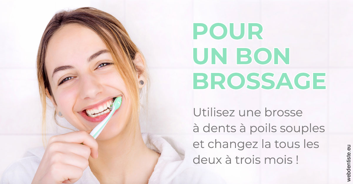 https://selarl-cabinet-dentaire-pujol.chirurgiens-dentistes.fr/Pour un bon brossage 2