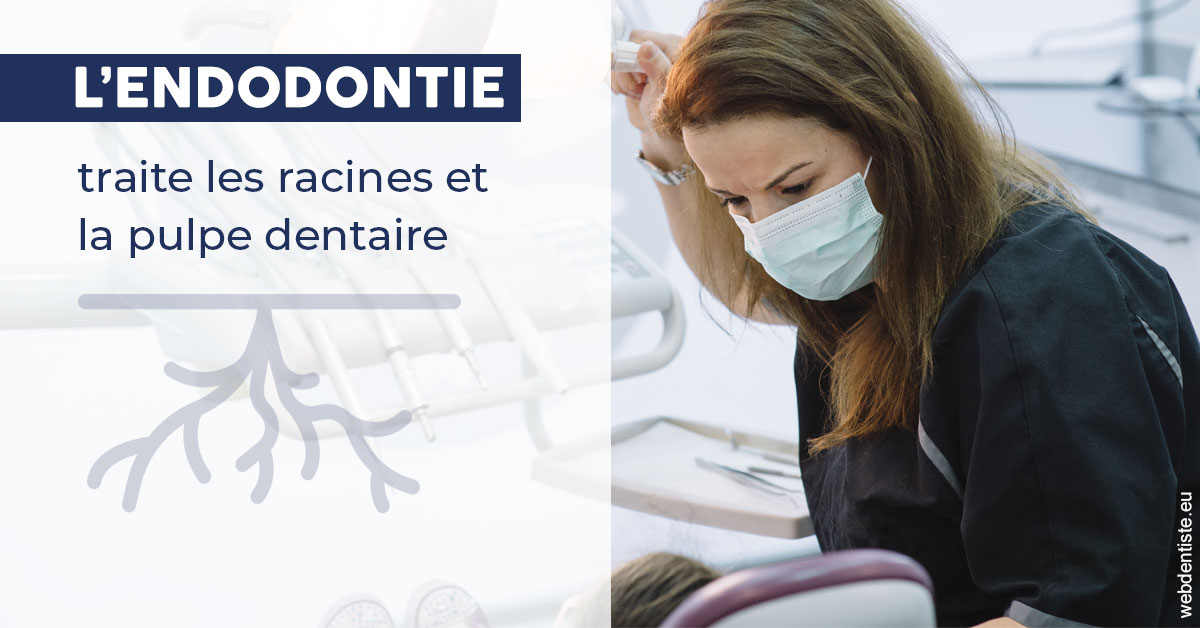 https://selarl-cabinet-dentaire-pujol.chirurgiens-dentistes.fr/L'endodontie 1