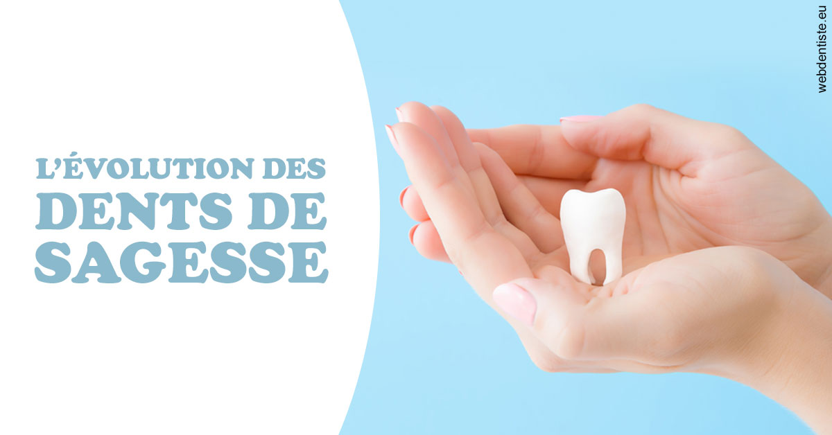 https://selarl-cabinet-dentaire-pujol.chirurgiens-dentistes.fr/Evolution dents de sagesse 1