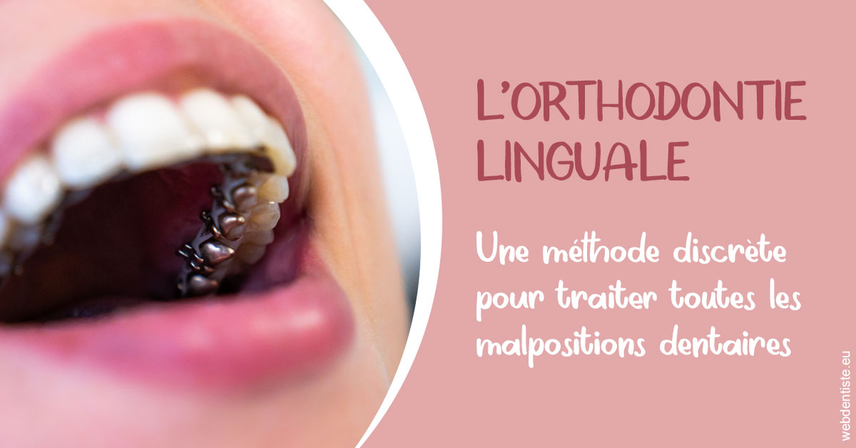 https://selarl-cabinet-dentaire-pujol.chirurgiens-dentistes.fr/L'orthodontie linguale 2