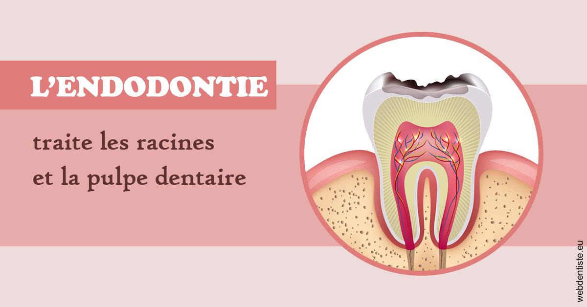 https://selarl-cabinet-dentaire-pujol.chirurgiens-dentistes.fr/L'endodontie 2