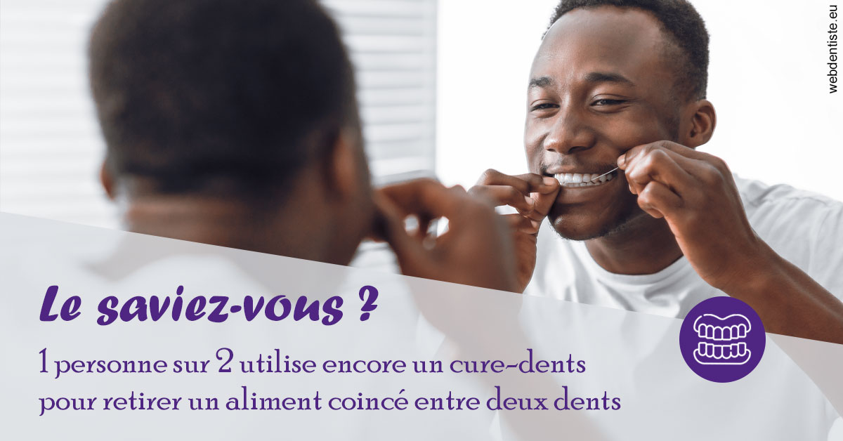 https://selarl-cabinet-dentaire-pujol.chirurgiens-dentistes.fr/Cure-dents 2