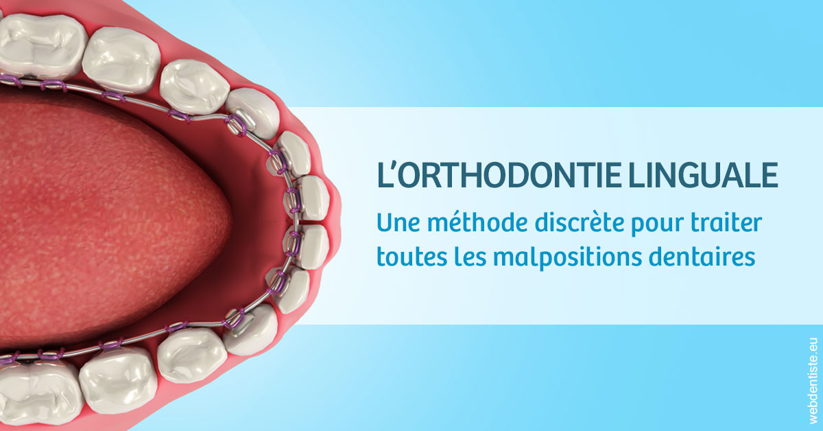 https://selarl-cabinet-dentaire-pujol.chirurgiens-dentistes.fr/L'orthodontie linguale 1