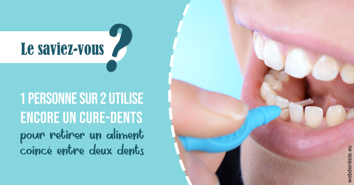 https://selarl-cabinet-dentaire-pujol.chirurgiens-dentistes.fr/Cure-dents 1