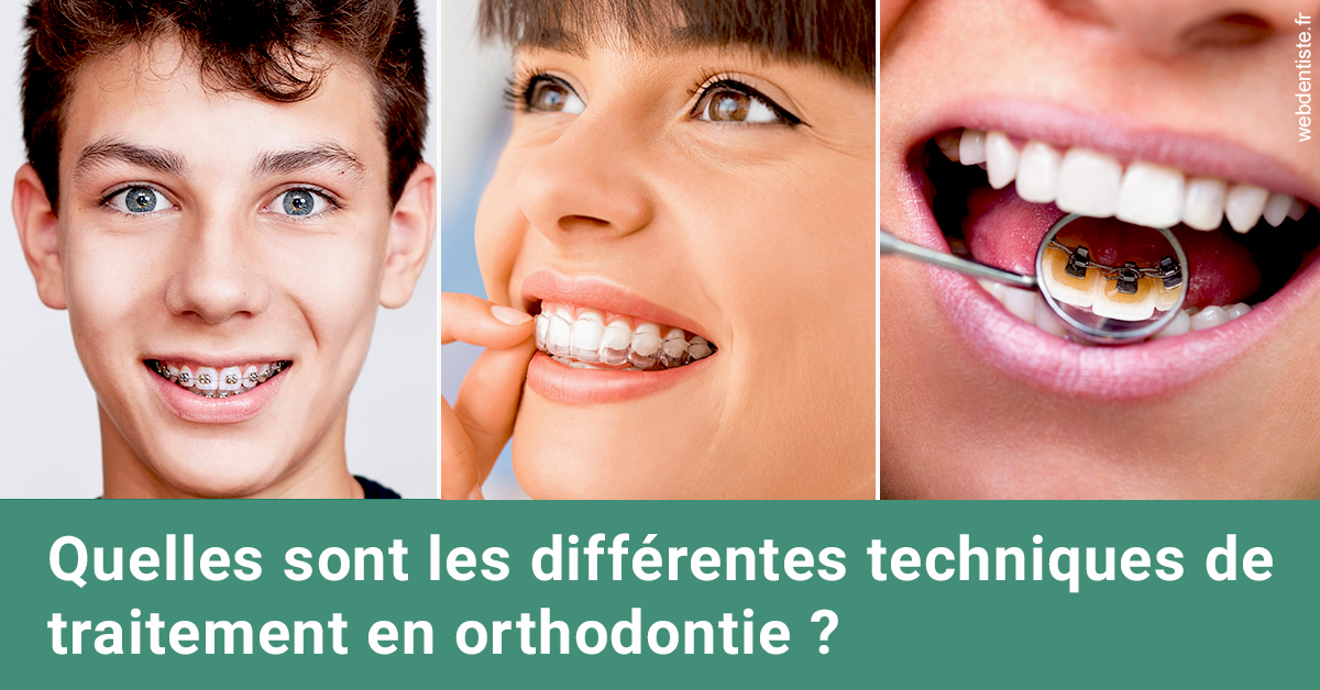 https://selarl-cabinet-dentaire-pujol.chirurgiens-dentistes.fr/Les différentes techniques de traitement 2