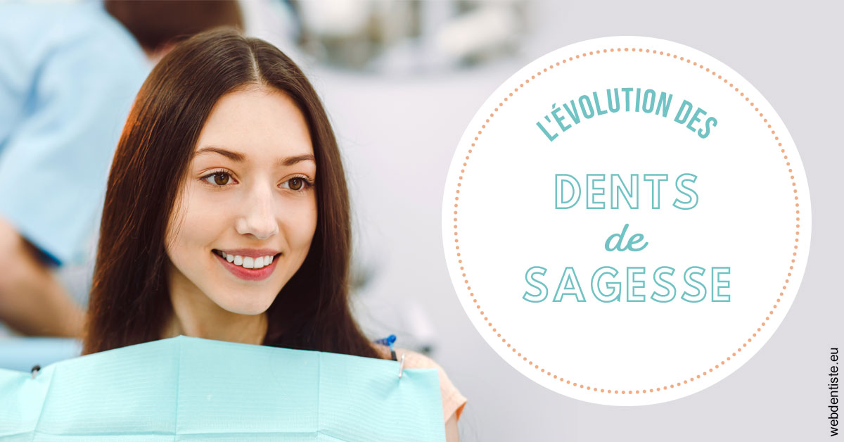 https://selarl-cabinet-dentaire-pujol.chirurgiens-dentistes.fr/Evolution dents de sagesse 2